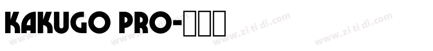 Kakugo pro字体转换